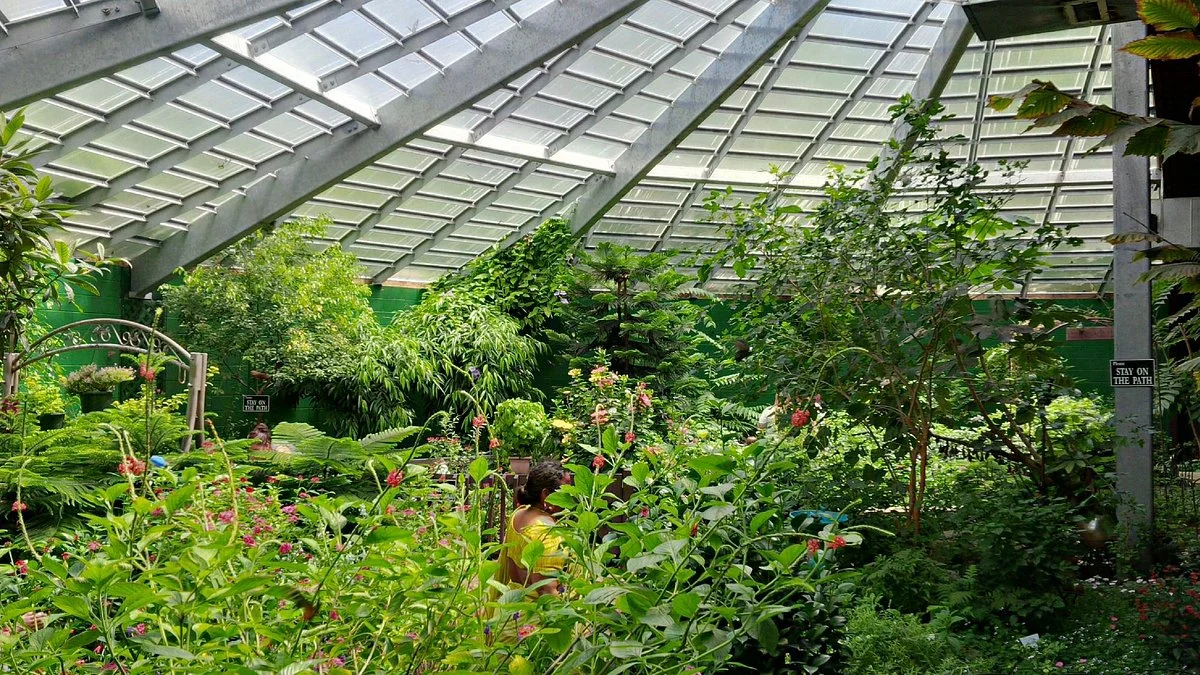 The Butterfly Place