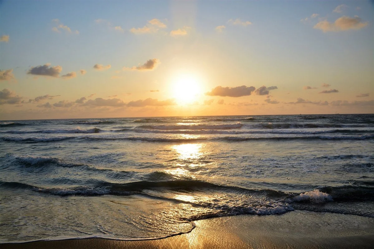 Ocean Reef Park