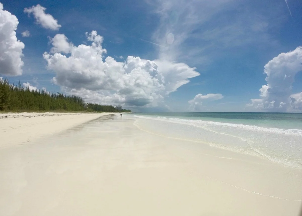 Silver Point Reef