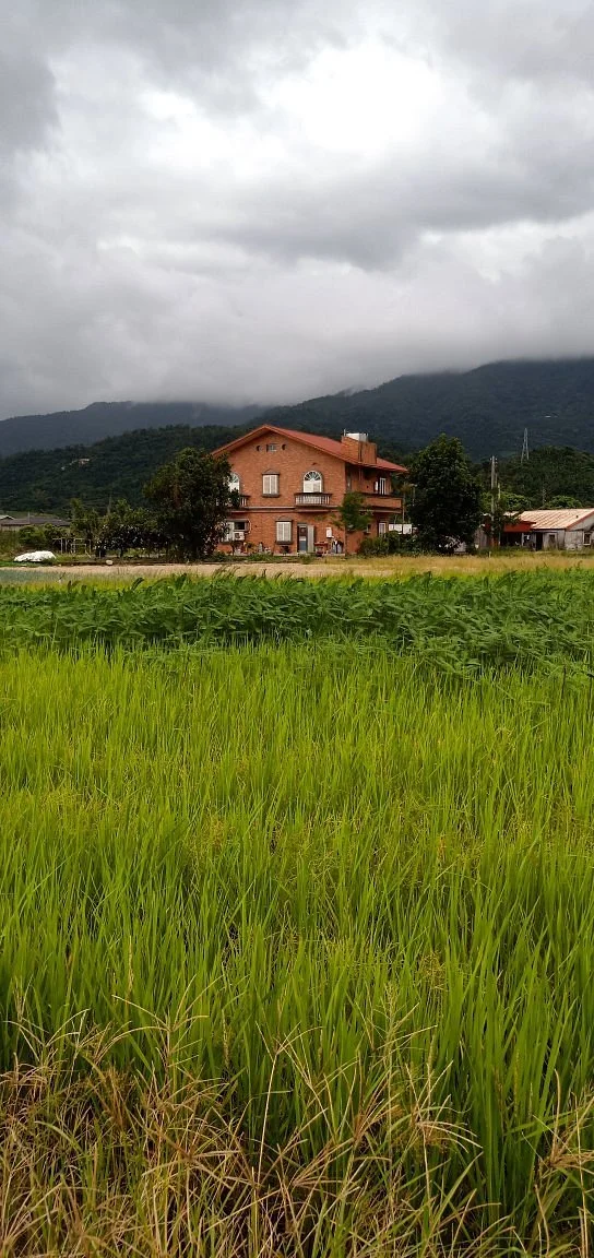 Xinbao Onion Experience Farm
