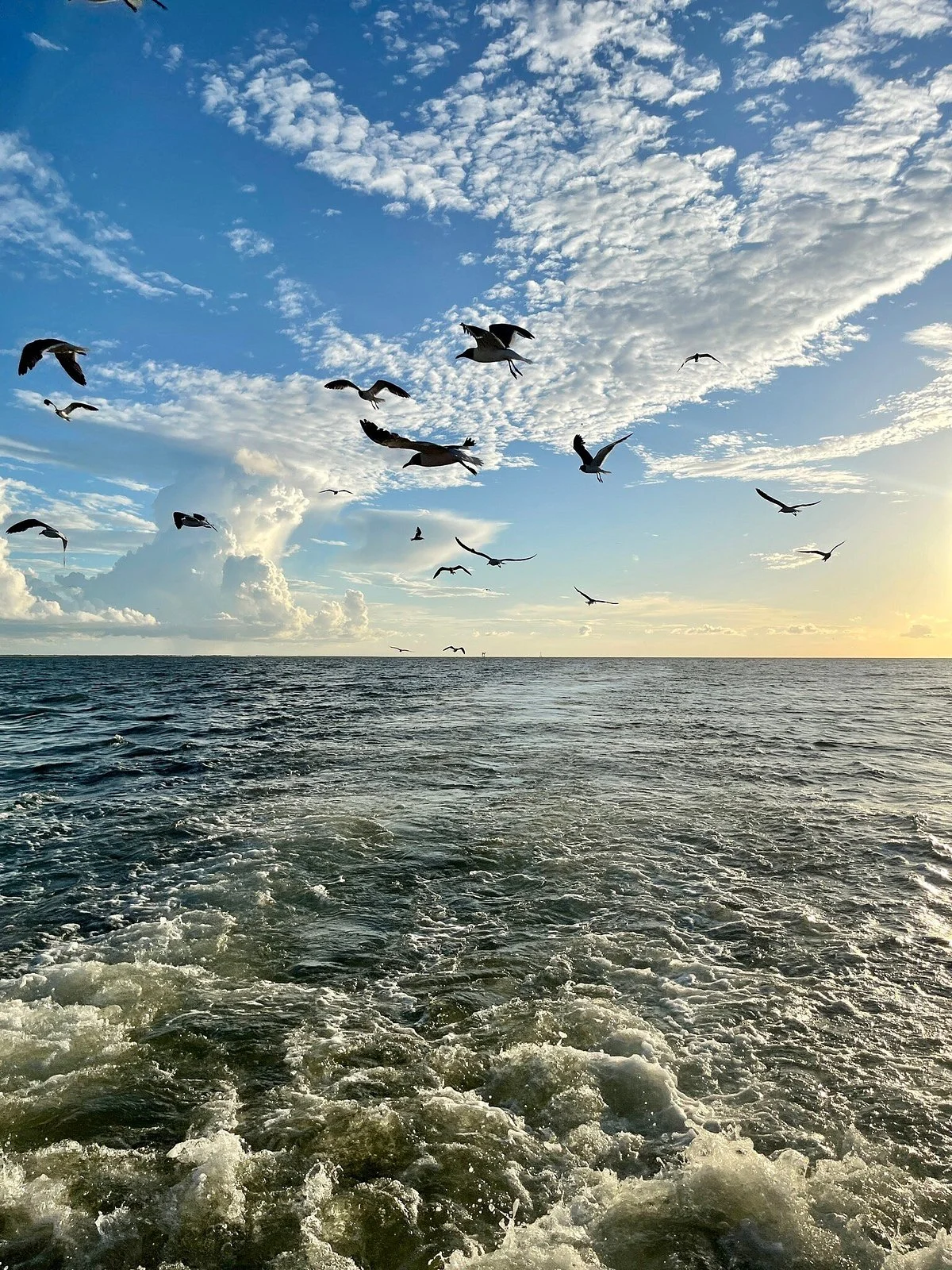 Dauphin Island Marina
