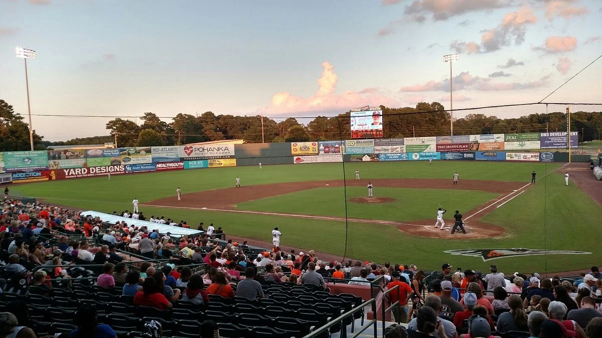 Arthur W. Perdue Stadium (Delmarva Shorebirds)