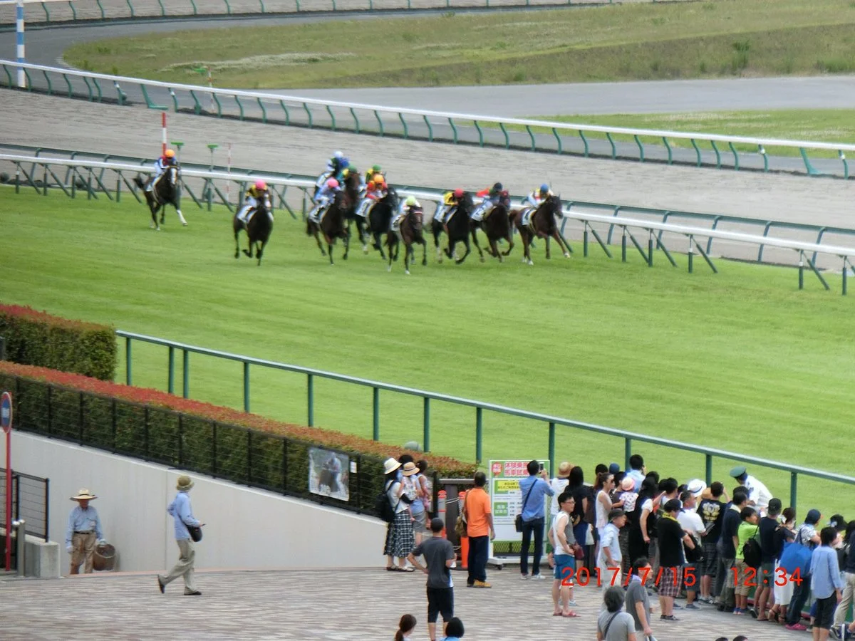 Chukyo Horse Race Track