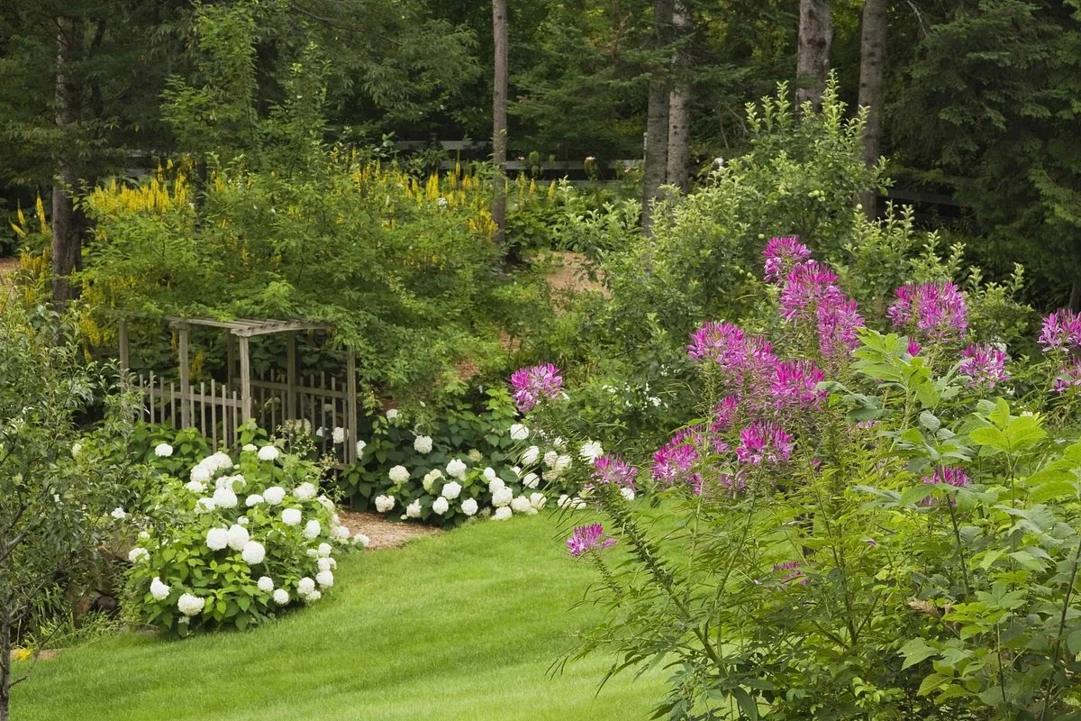 Le Jardin de Francois