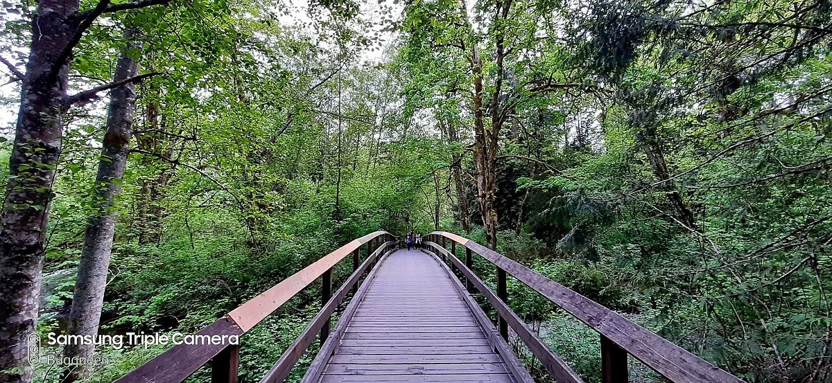 Tynehead Park