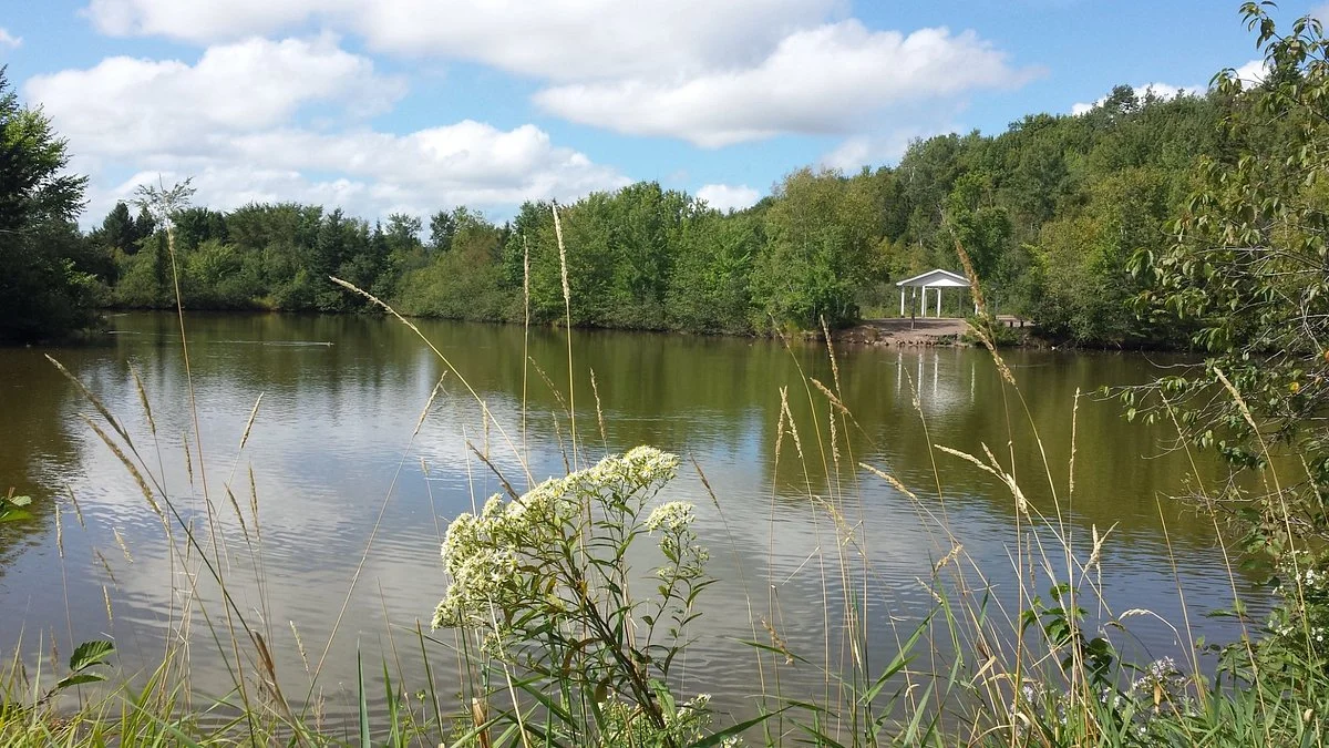 Mapleton Park