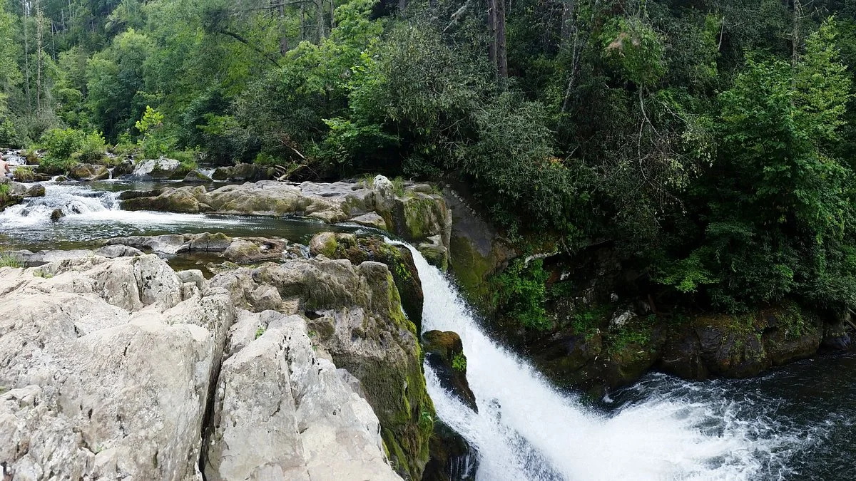 Abrams Falls Trail