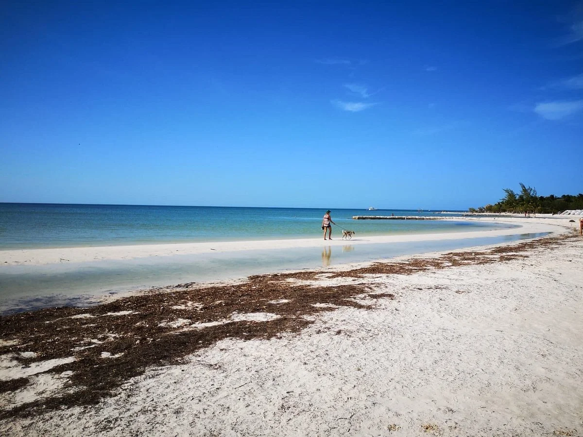 Refugio Holbox