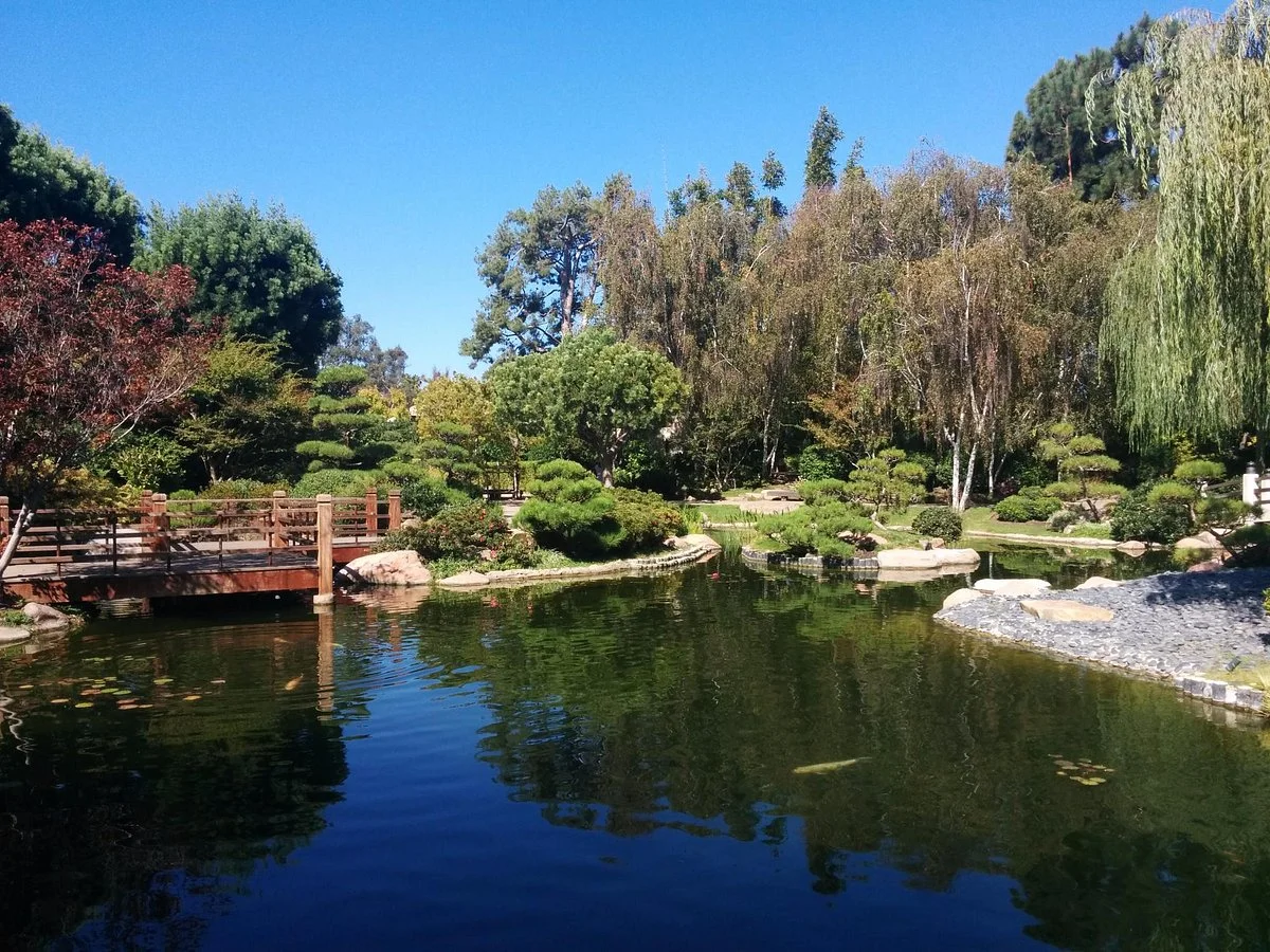 California State University Long Beach