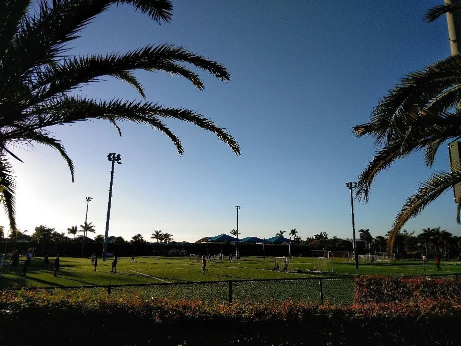 Morgan Levy Park