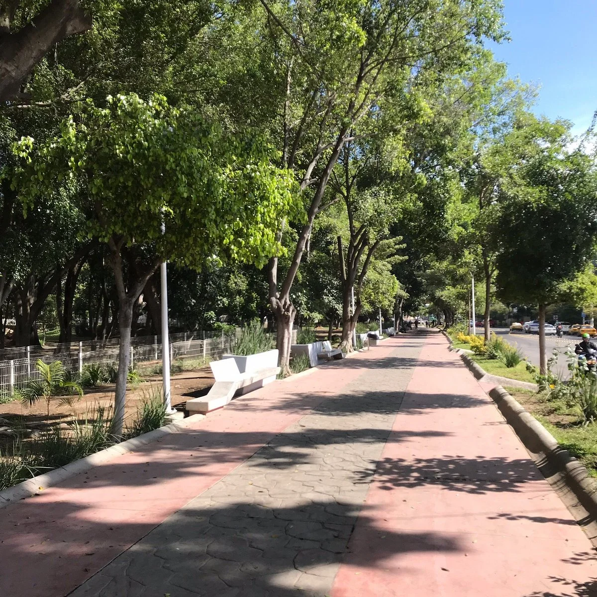 Parque La Loma