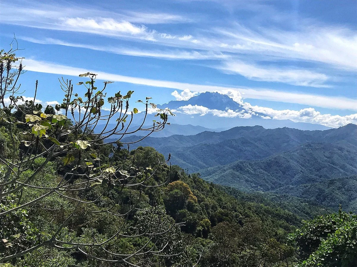 Kokol Hill