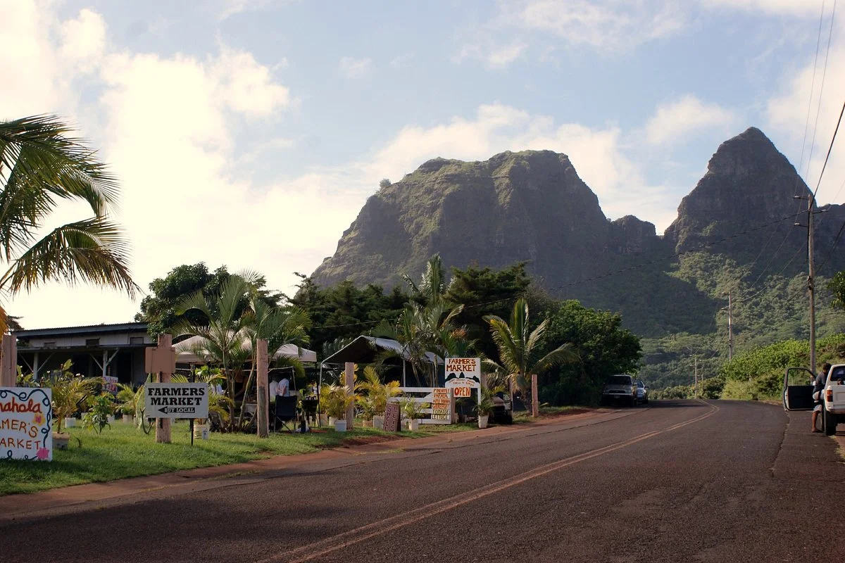 Anahola Hawaiian Land Farmer's Market
