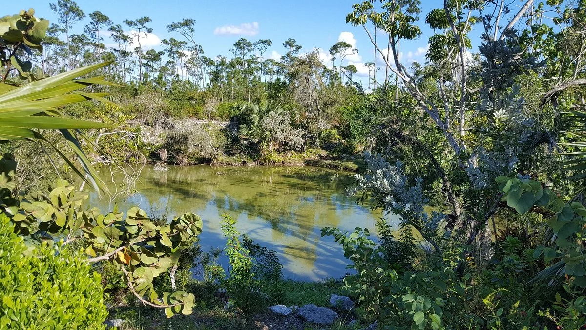 Rand Memorial Nature Center