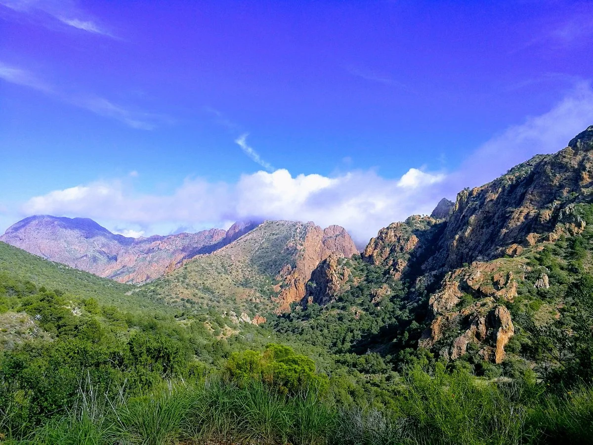 Lost Mine Trail