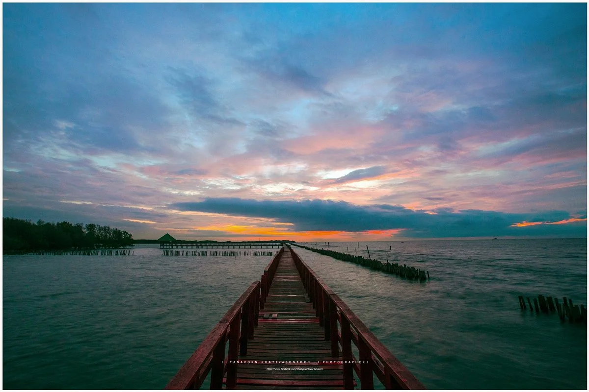 Dolphin Viewpoint