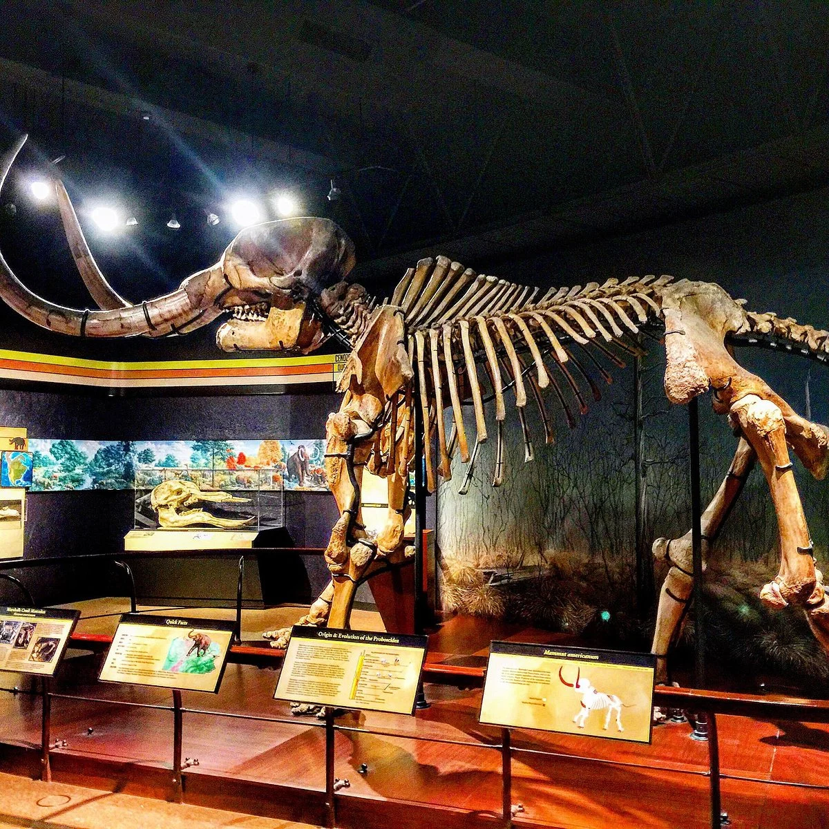 State Museum of Pennsylvania