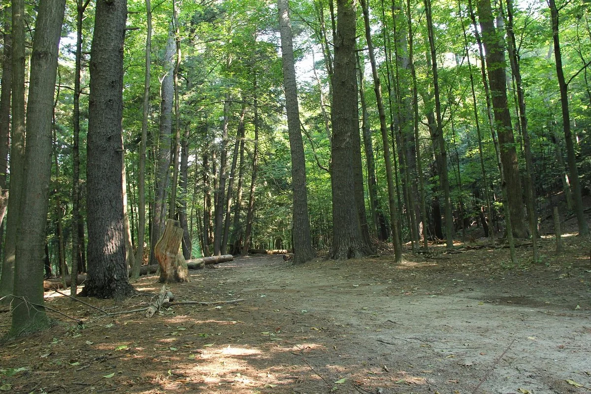 Boyd Conservation Area