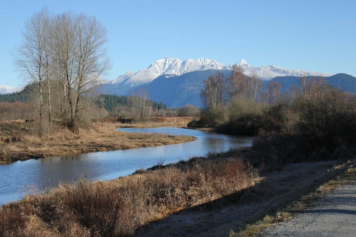 Traboulay Poco Trail