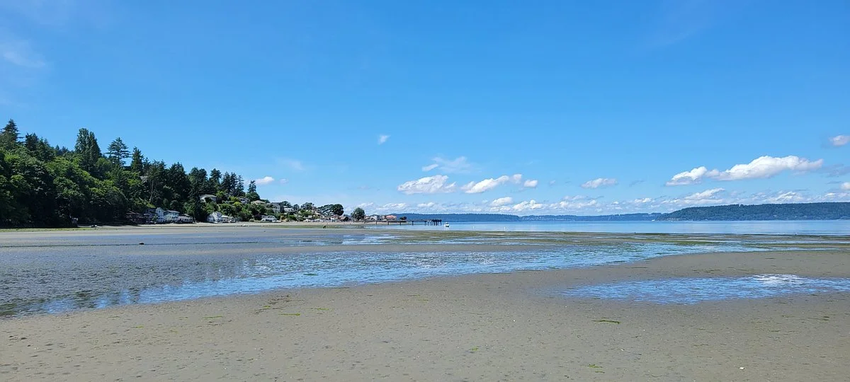 Dash Point State Park