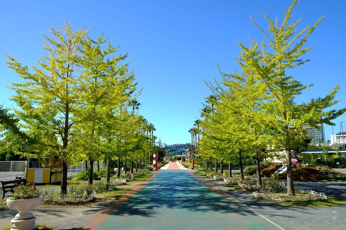 Kashii Kaen Sylvania Garden