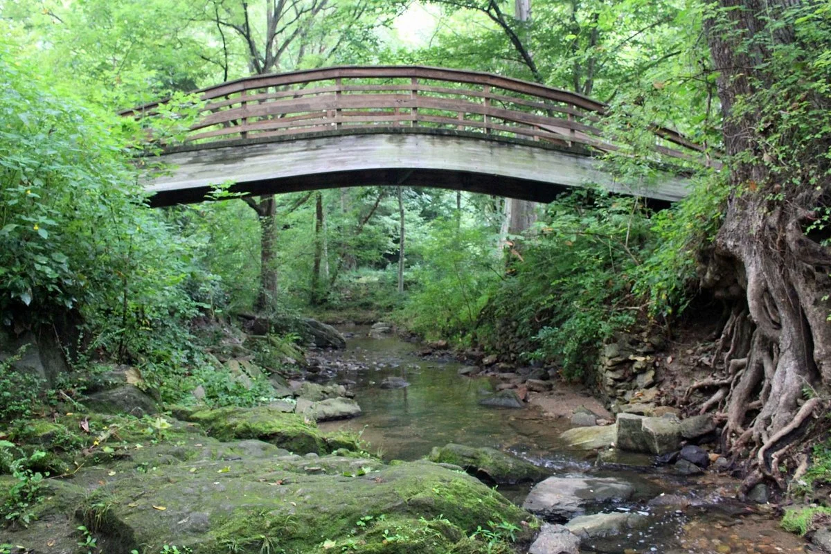 Botanical Gardens at Asheville