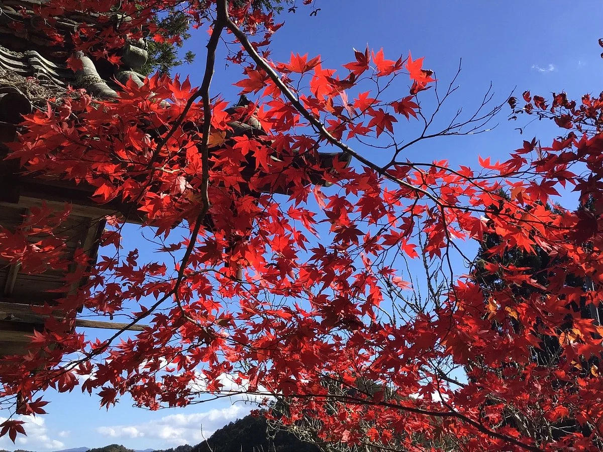Ryuonji Temple