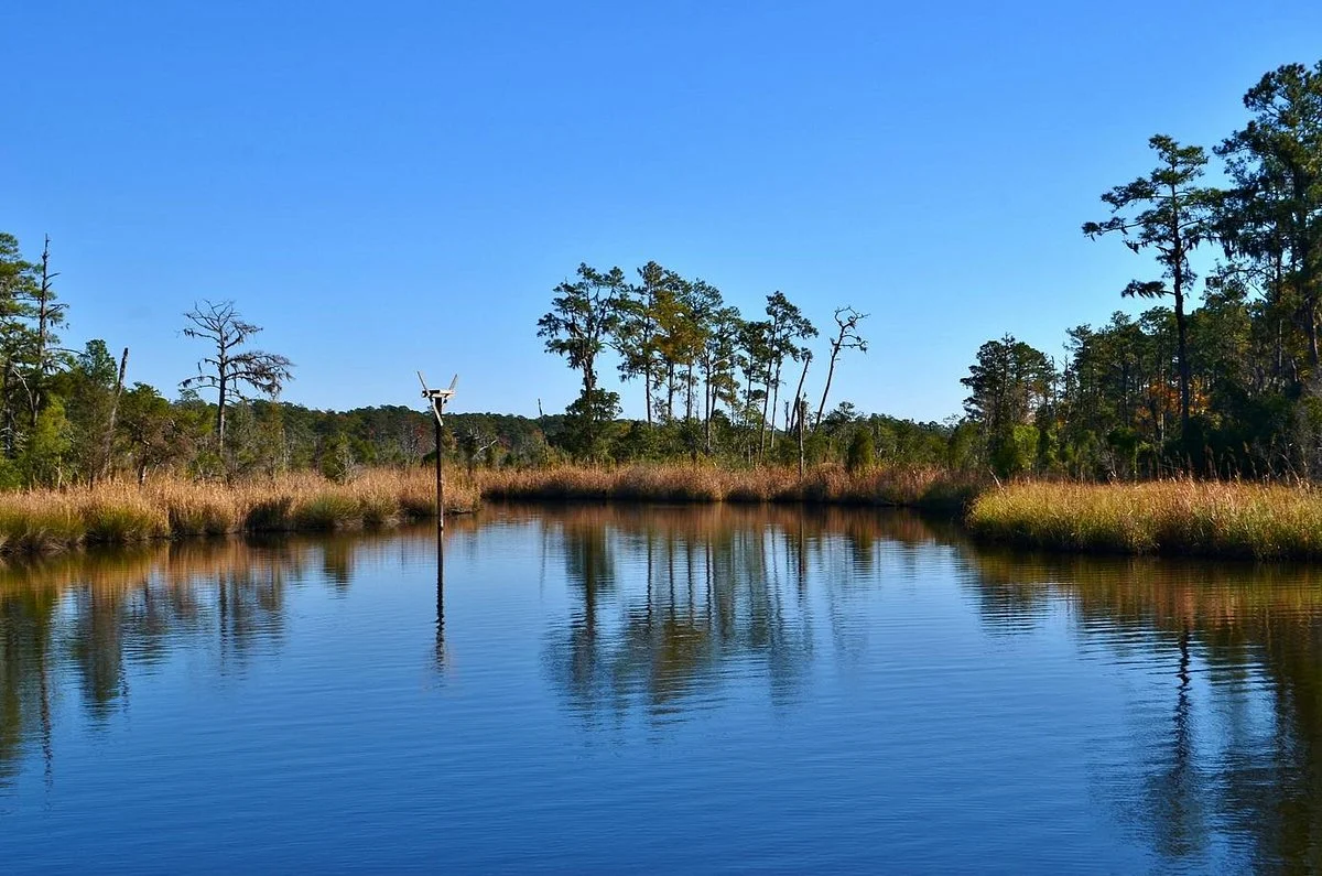 Goose Creek State Park