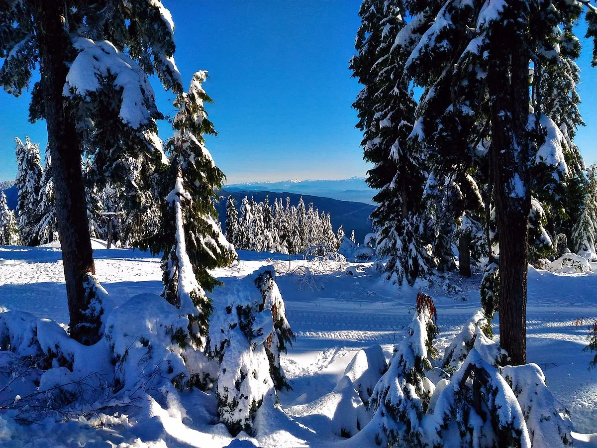 Mount Seymour Provincial Park