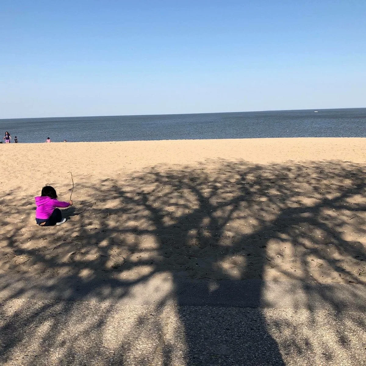 Gimli Beach