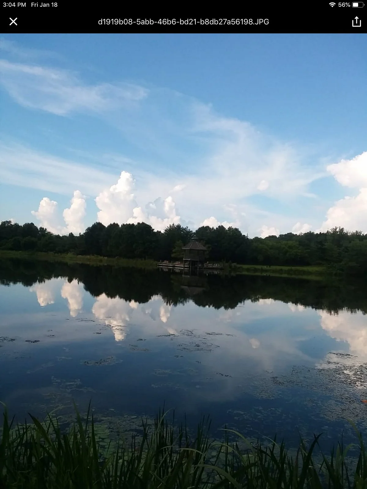 Lake Artemesia