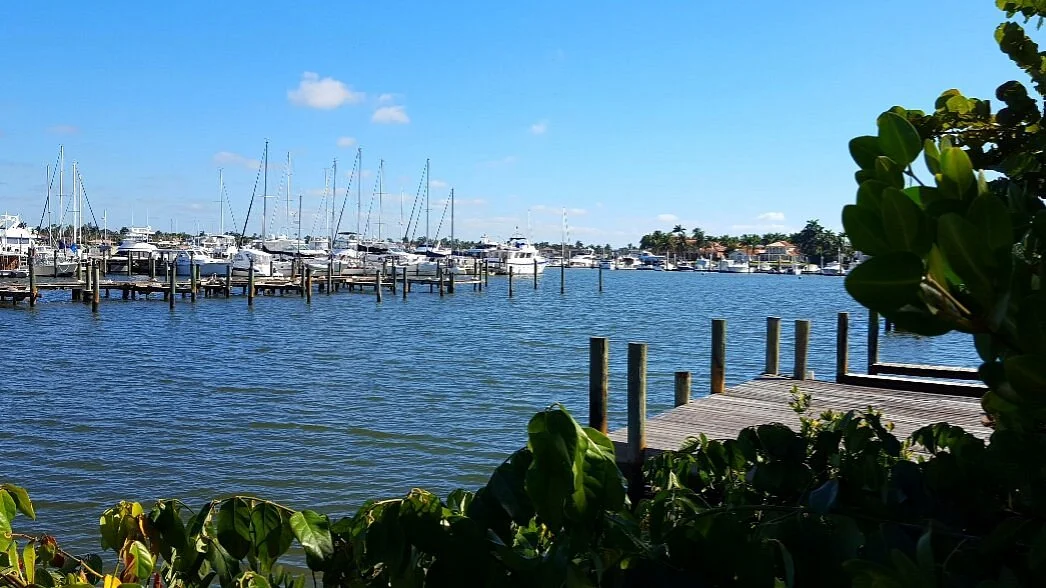 Naples City Dock