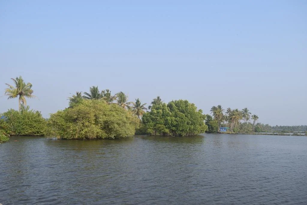 Matsyafed Fish Farm