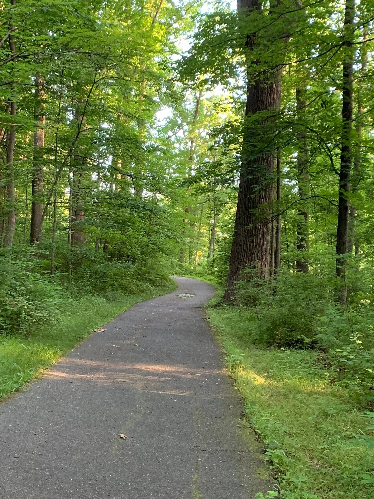 Sligo Creek Park