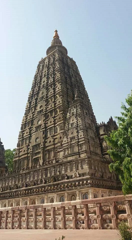 Rajayatna Tree