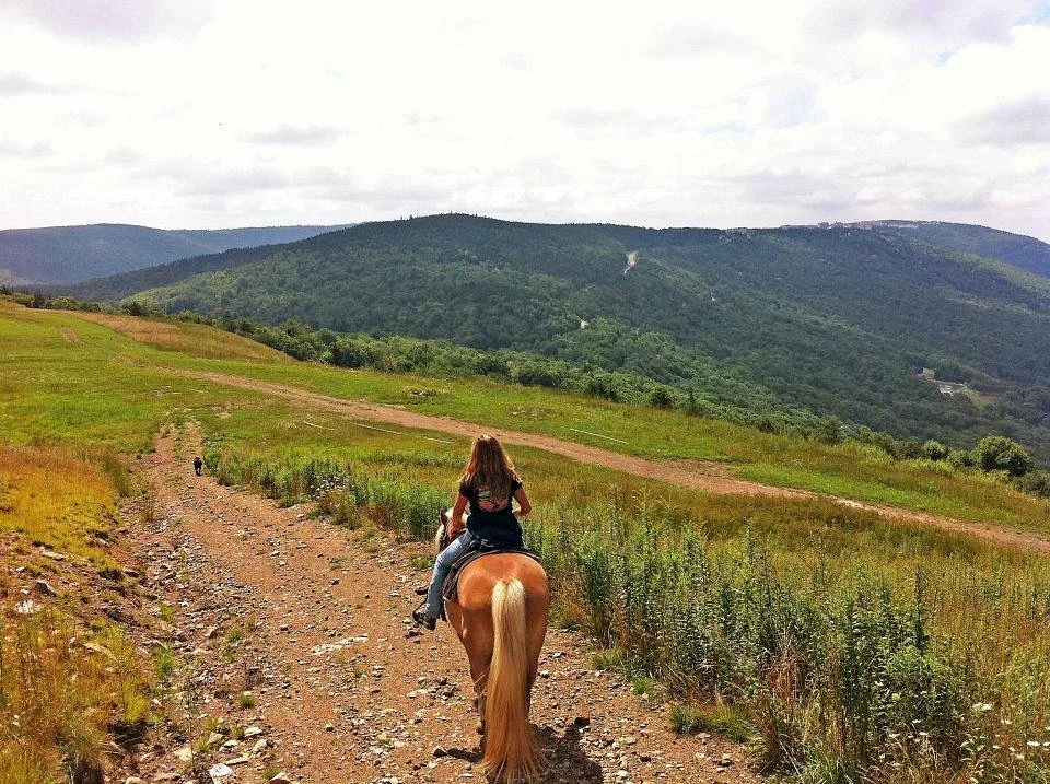 Cheat Mountain Stables