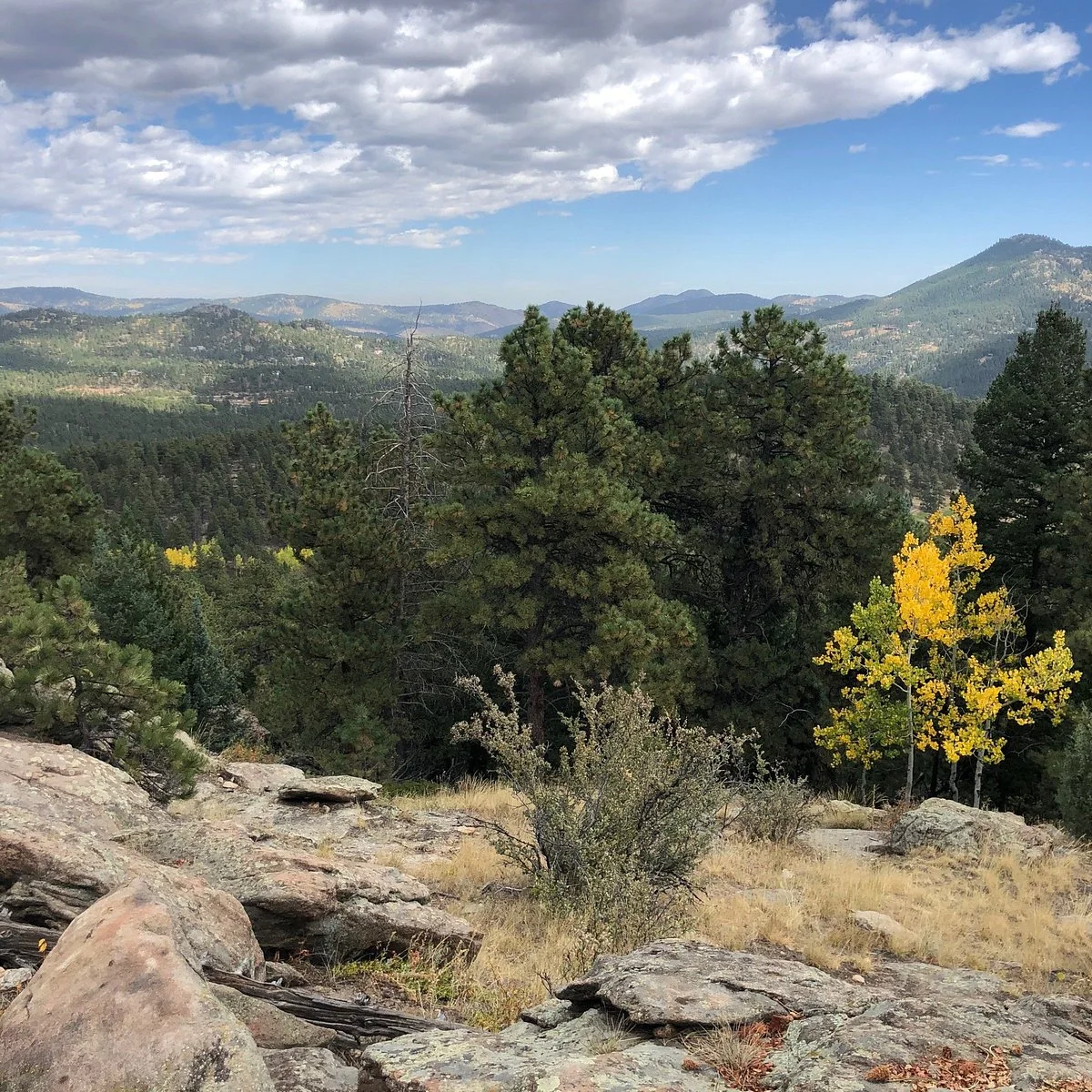 Alderfer/Three Sisters Park