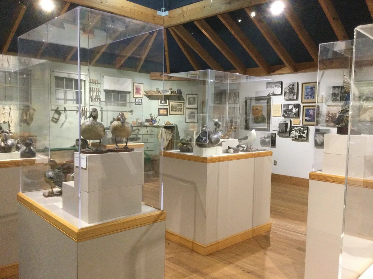Ward Museum of Wildfowl Art