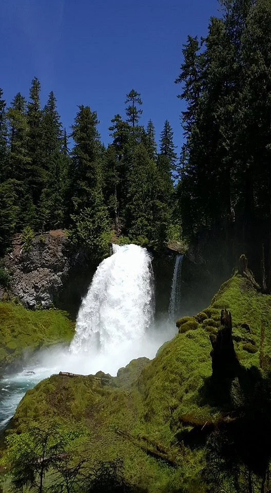 McKenzie River National Recreation Trail