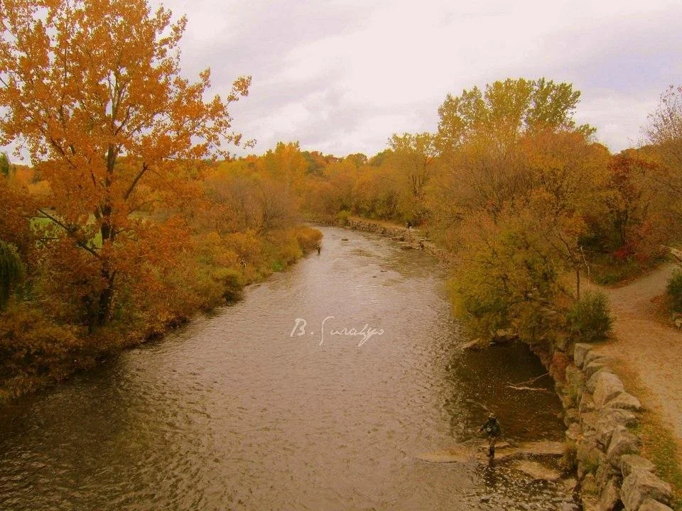 Erindale Park