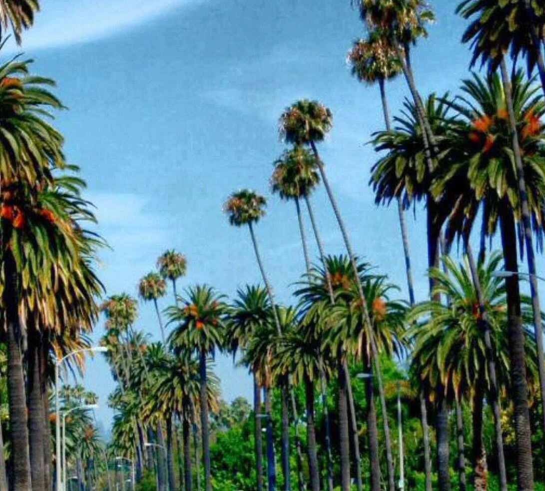 Will Rogers Memorial Park