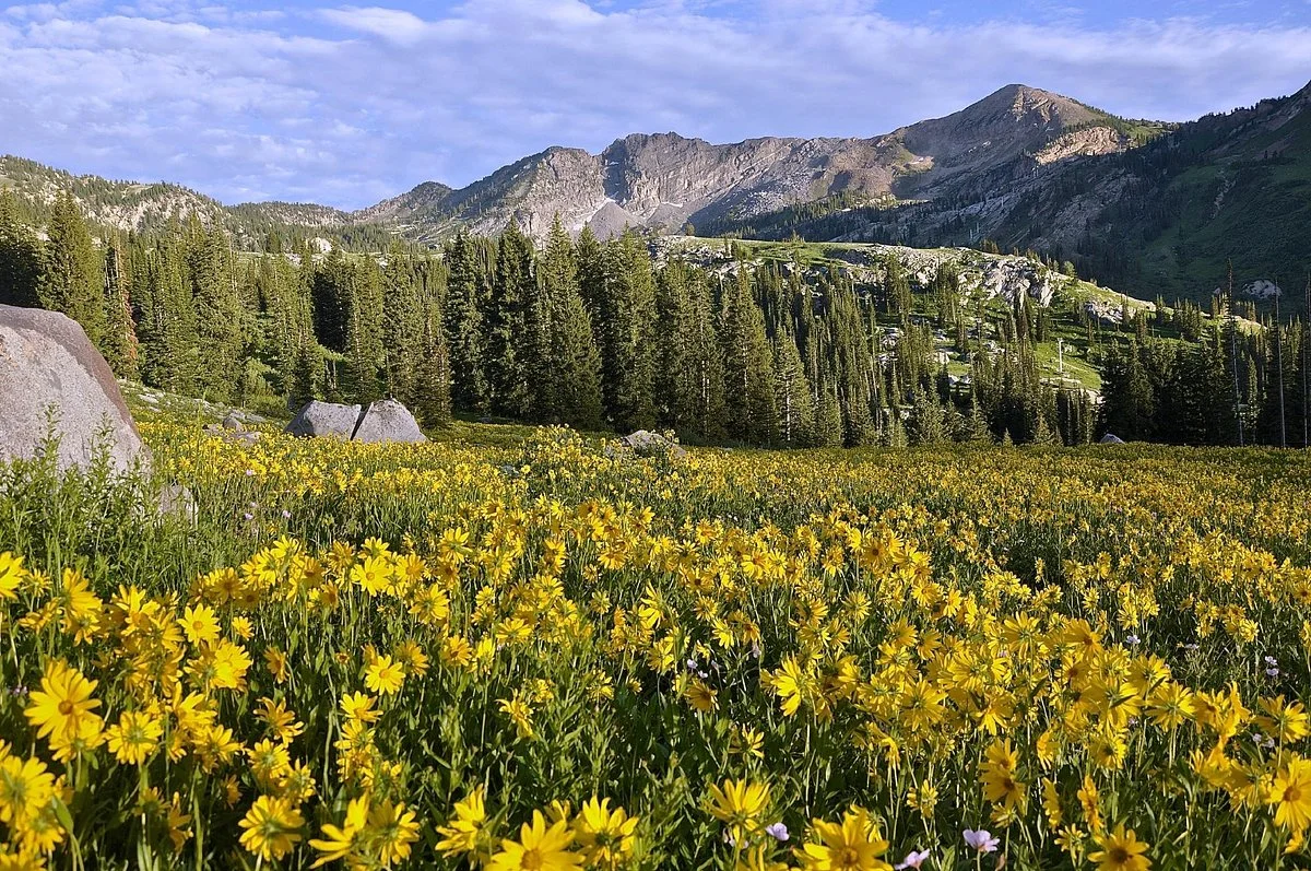 Little Cottonwood Canyon