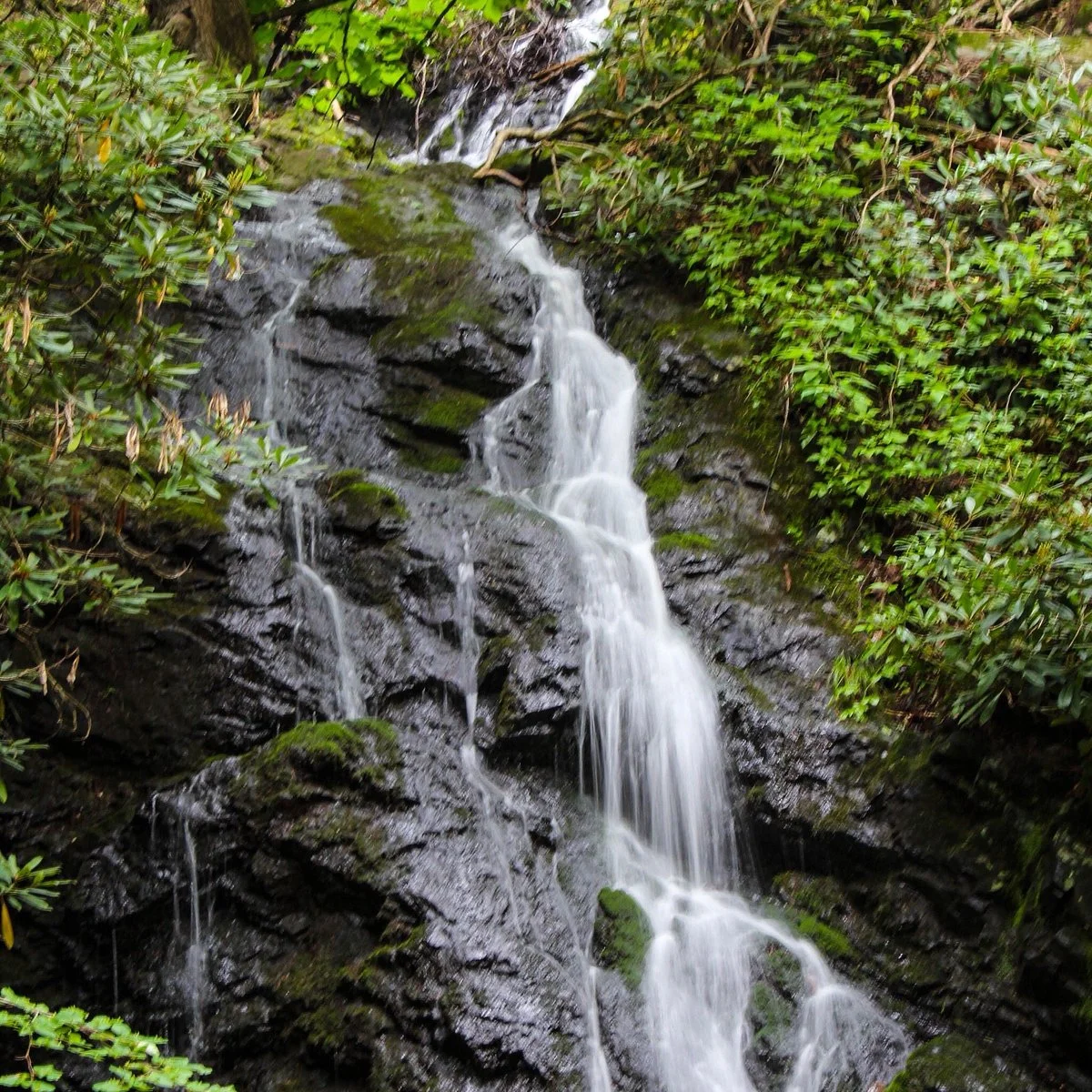 Cataract Falls