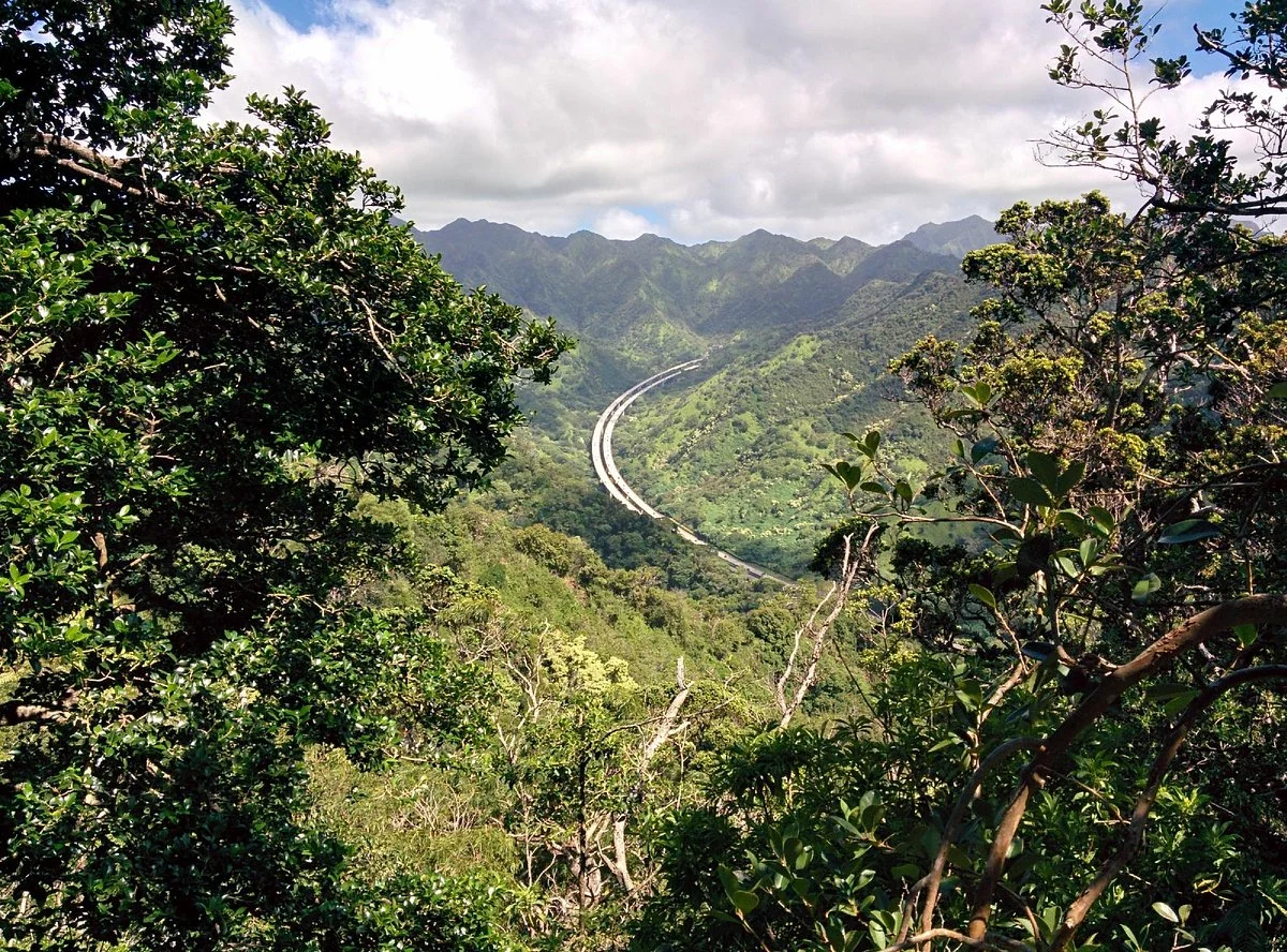 Aiea Loop Trail
