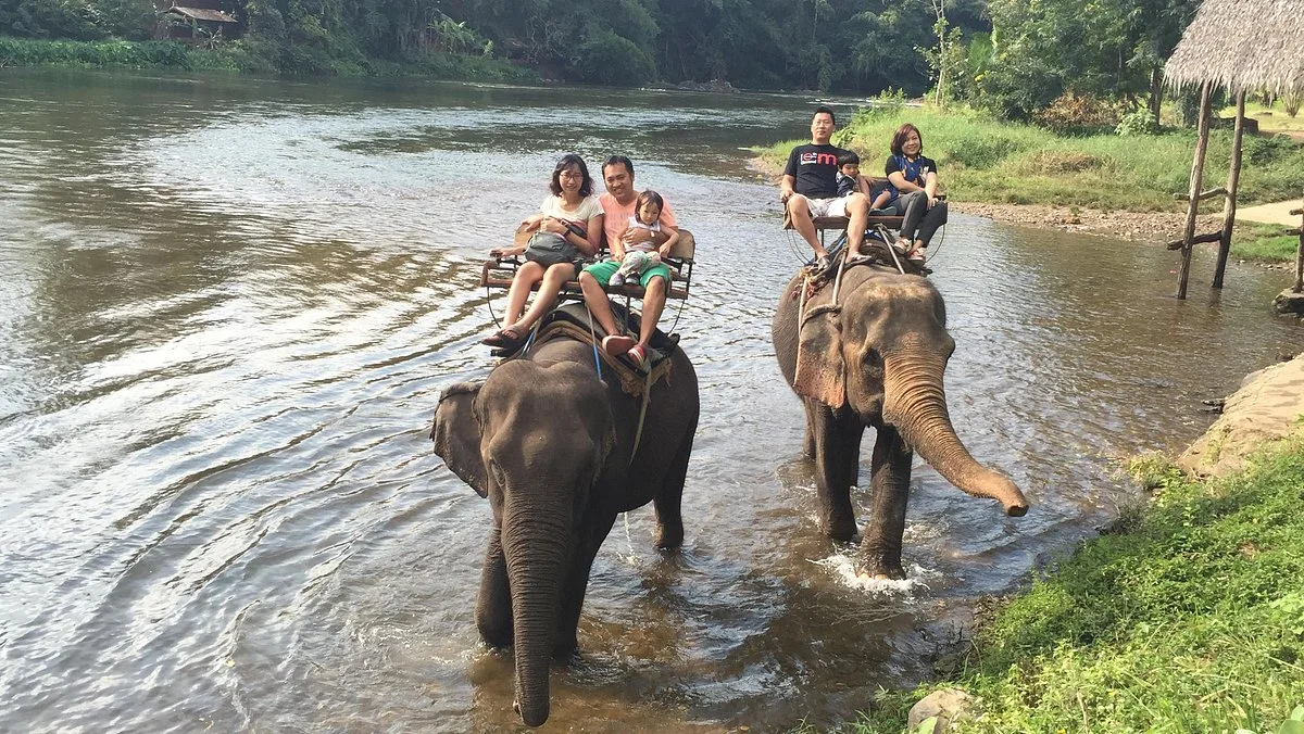 Taweechai Elephant Camp
