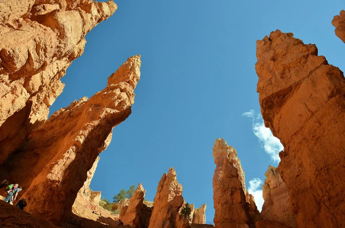 Navajo Trail