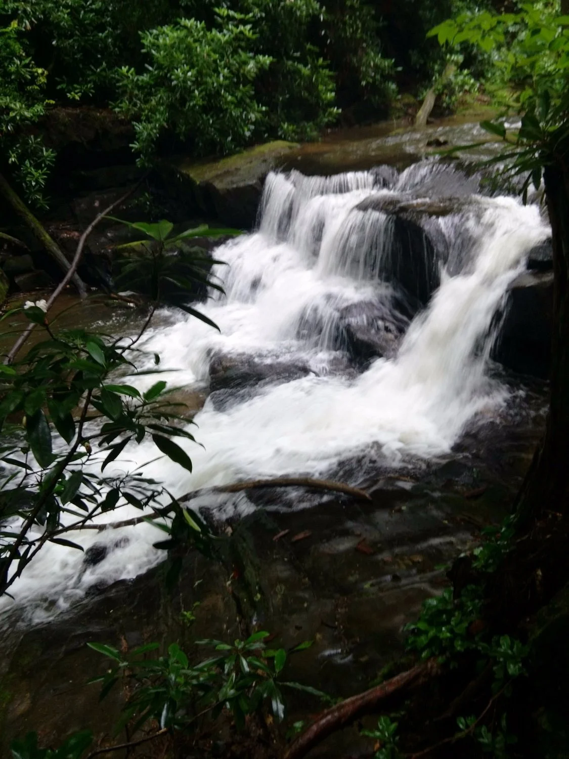 Sliding Rock Cascade on Wildcat Creek