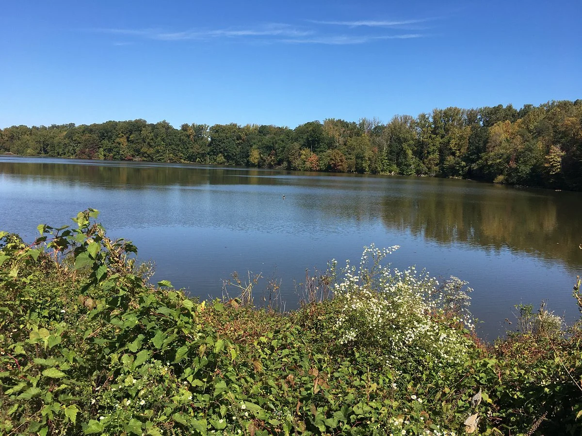 Lake Accotink Park