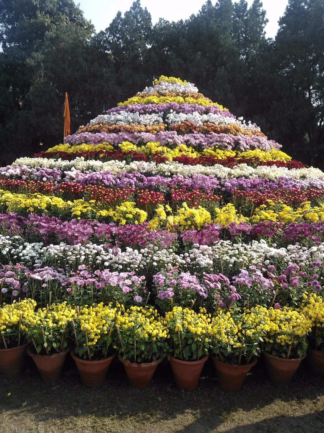Terraced Garden
