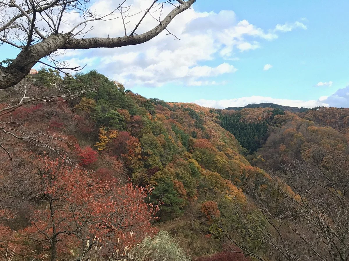 Myoken Forest Fureai Square